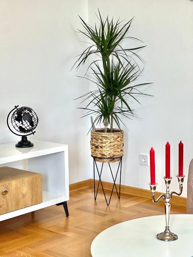 Azure Apartments Budva Zewnętrze zdjęcie